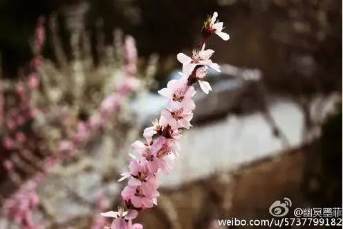 中国人民大学校花，第二届十大最美校花（惊艳全国高校校花谁家最美）