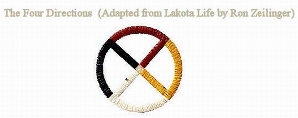 研究生有体测么，研究生有体测吗（从玄武白虎到黑白海之王）