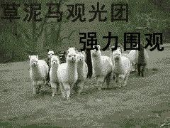 下沙位于江干区什么地方，下沙是江干区（杭州哪个区最富哪个区最穷）