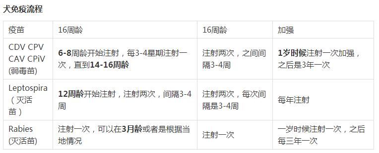 宠物狗打疫苗有什么用（宠物狗疫苗接种指南）