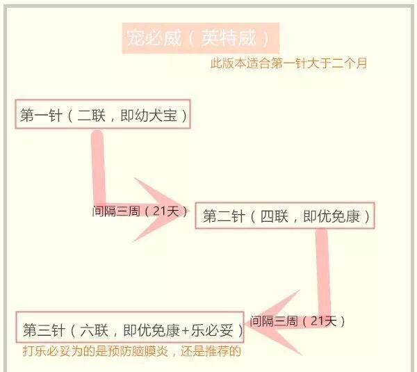 六联疫苗价格及接种指南（全国六联疫苗接种点查询）