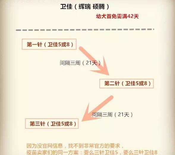 六联疫苗价格及接种指南（全国六联疫苗接种点查询）