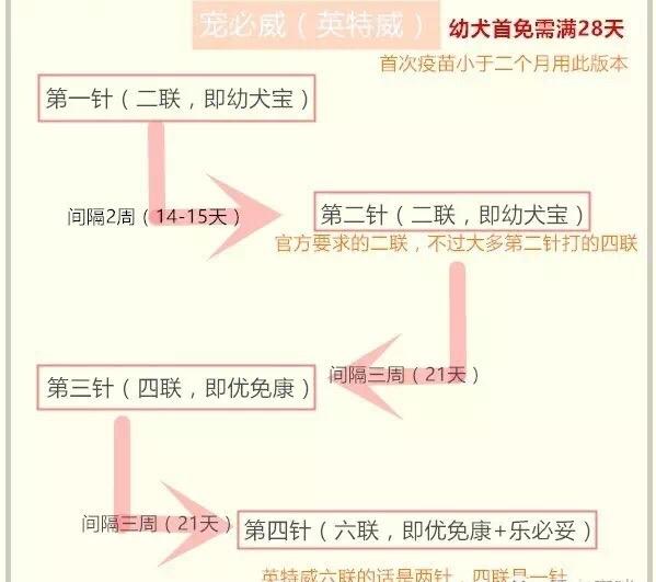 六联疫苗价格及接种指南（全国六联疫苗接种点查询）