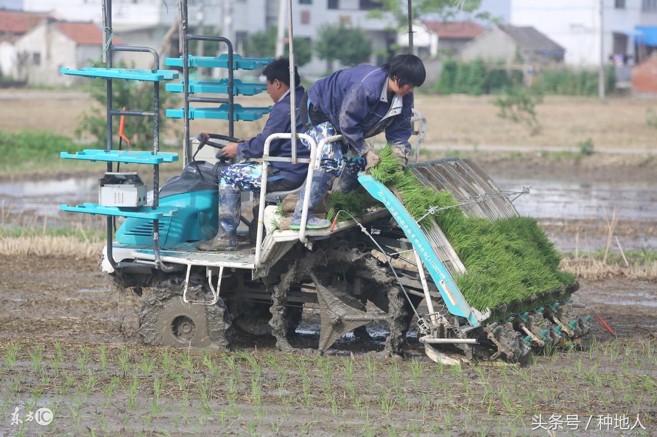 甘蔗培土机多少钱一台(好消息) - 价格百科