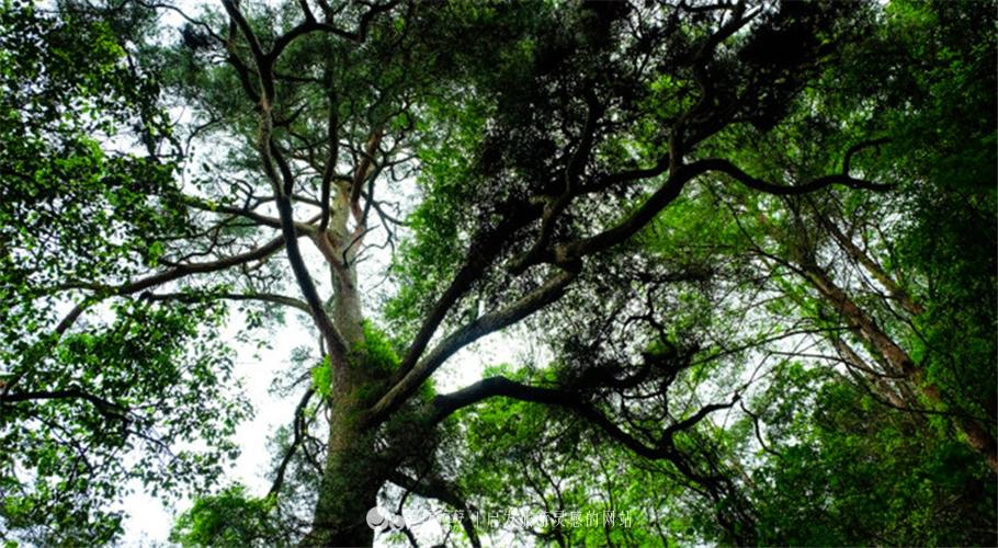 冠豸山好玩吗，冠豸山值得去吗（未成年人请在家长指导下观看）