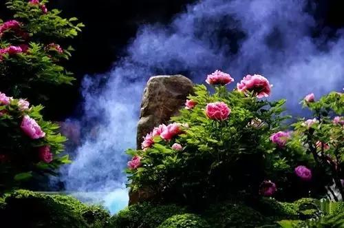 河南省车牌号字母代表地区，河南各地区车牌代码是什么（<豫ABCDEFJ>对应的城市）