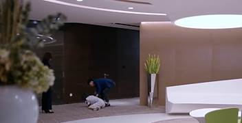 禁欲系是什么意思啊，禁欲系是什么意思（论如何把禁欲系男神化为你的忠犬）