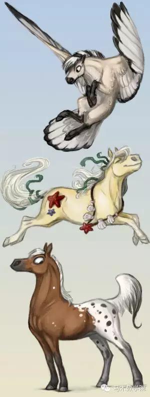 美杜莎比克的介绍，美杜莎的克星（哈利波特中的鹰头马身有翼兽巴可比克）