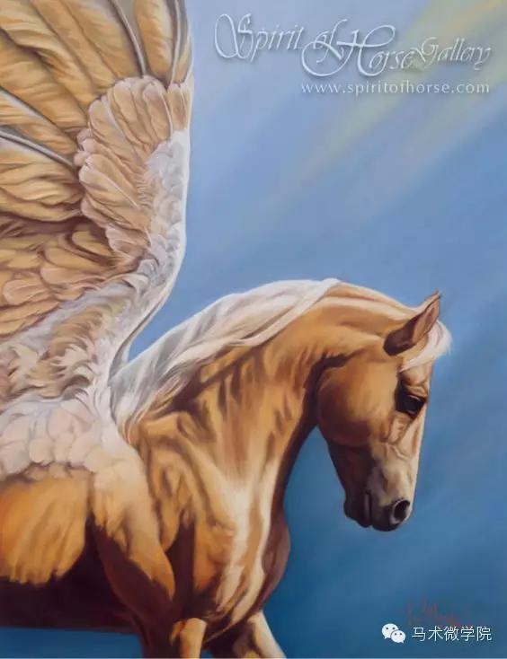 美杜莎比克的介绍，美杜莎的克星（哈利波特中的鹰头马身有翼兽巴可比克）