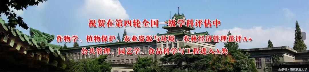 南农大a类学科（南农7个学科在第四轮全国一级学科评估中进入A类）