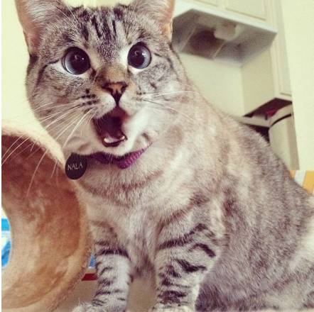 丽江公交时间表，又到周一公交“噩梦”日