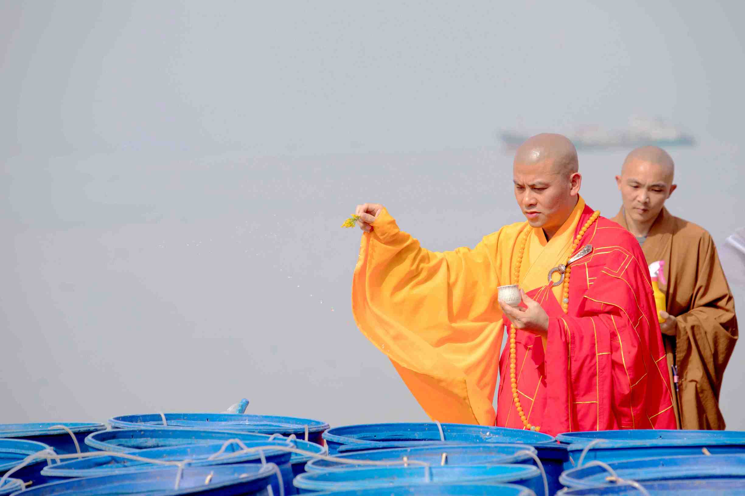 这才是真正的功德利益！珠海普陀寺举行大型放生法会