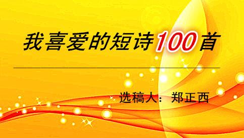 现代诗100首（美到窒息的100首现代诗）