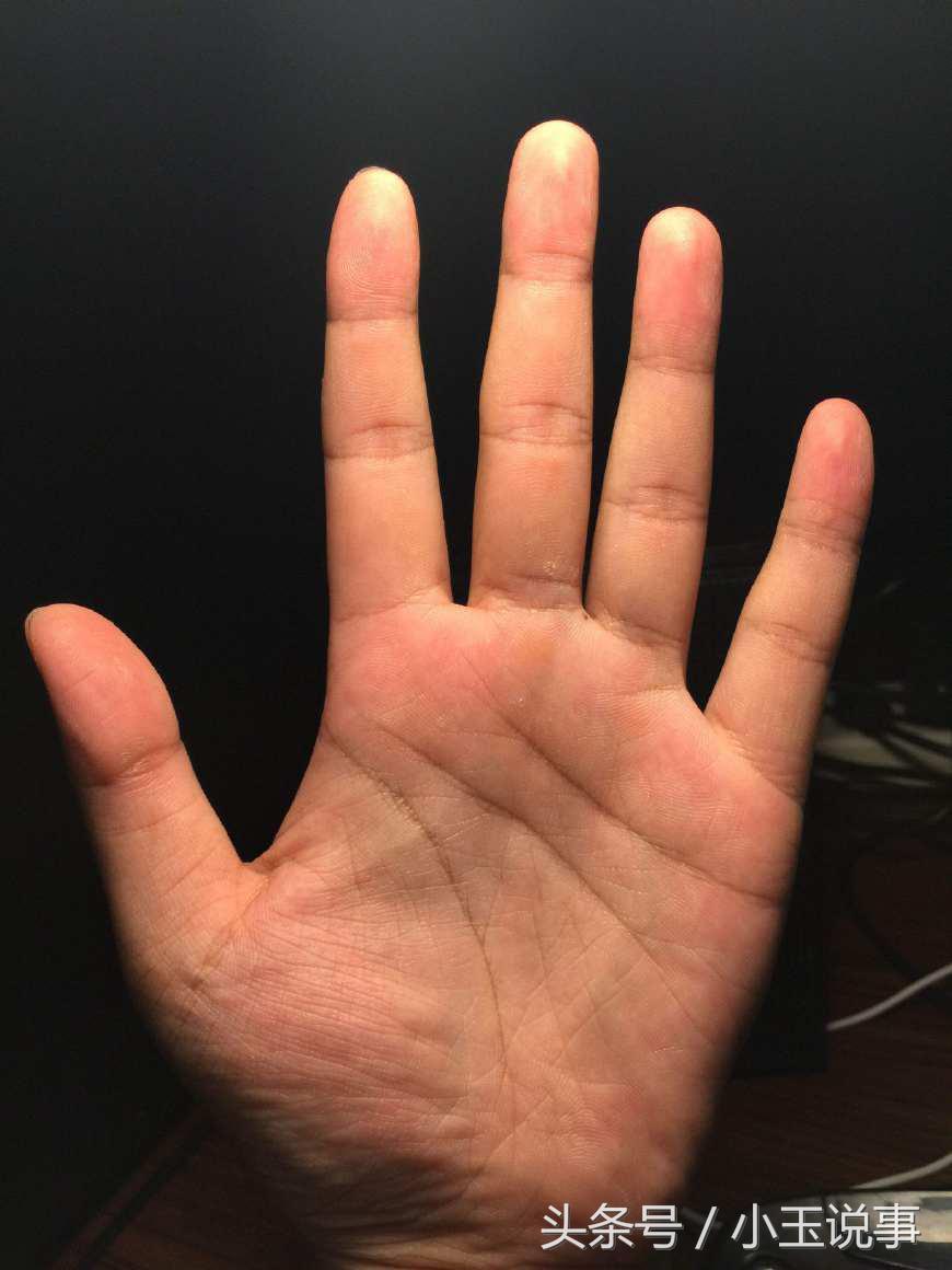 手纹乱的人命苦吗,手纹路乱女人命苦吗 - 珍缘易学