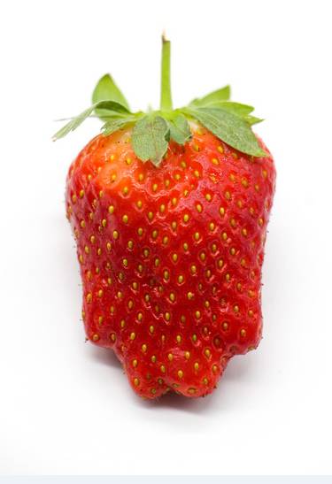 士多啤梨是什么，士多啤梨是什么草莓（热门丨这些餐点都被士多啤梨翻了牌子）