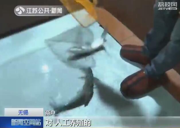 惊爆价！正宗鳕鱼仅13元/斤，鲜嫩美味超值抢购，限时特惠手慢无！