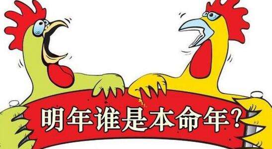 本命年不顺,就一定会"犯太岁"吗 - 玉三网