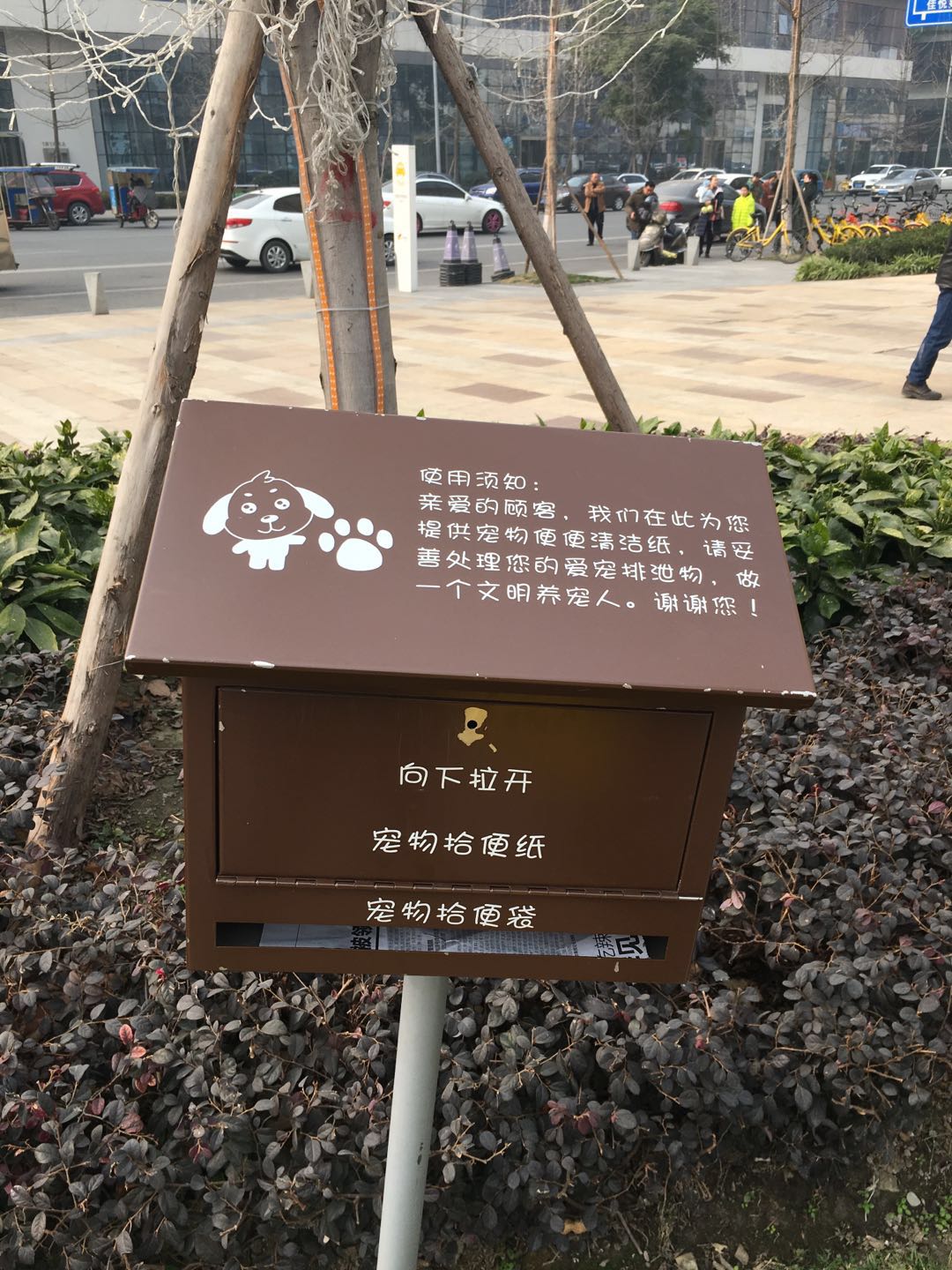 成都买宠物狗去哪买好呢（成都宠物市场指南）