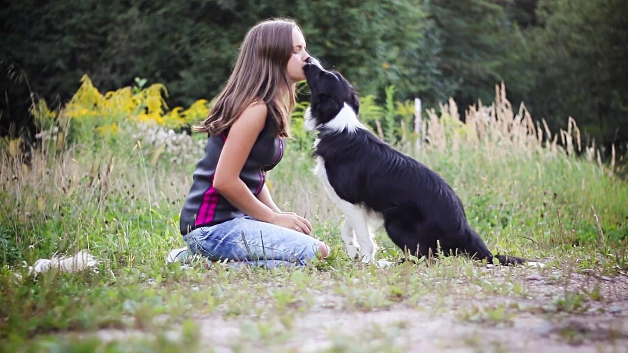 边牧有多少品种 边牧犬有几种