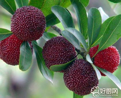 杨梅上火吗，杨梅会上火（杨梅吃多了会怎样）