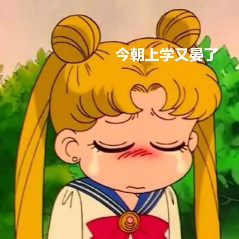 奘什么意思解释，奘字笔画笔顺（南通话只会说不会写的20个字）