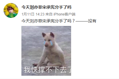 劉亦菲與宋承憲,劉亦菲宋承憲分手細節首次公開(劉亦菲宋承憲分手) 劉亦菲與宋承憲,劉亦菲宋承憲分手細節首次公開(劉亦菲宋承憲分手)