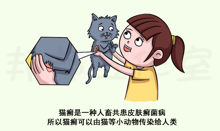 猫癣传染人怎么办（人得了猫癣太痒了怎么止痒）