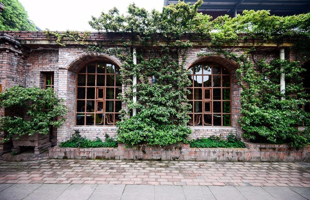 标榜职业技术学院(国际标榜职业学校)