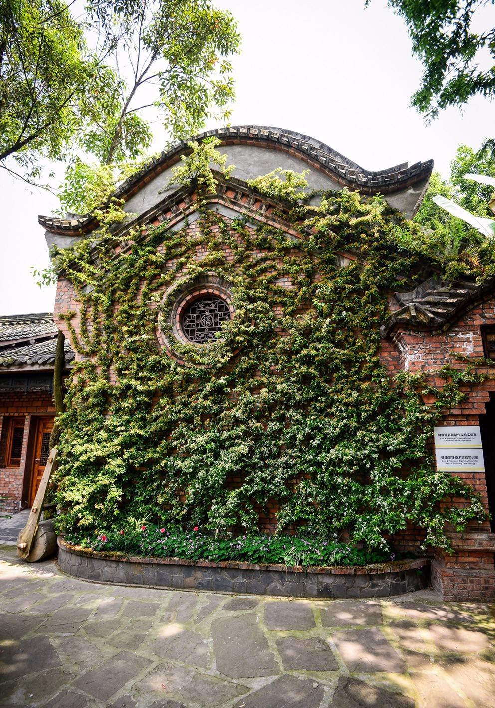 标榜职业技术学院(国际标榜职业学校)