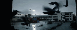 美国队长 彩蛋，黑豹最后一个彩蛋什么意思（看，怎能不扒光漫威所有彩蛋）