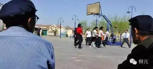 紫云烟有几种，紫云烟的种类（宁夏大武口的一段顺口溜）