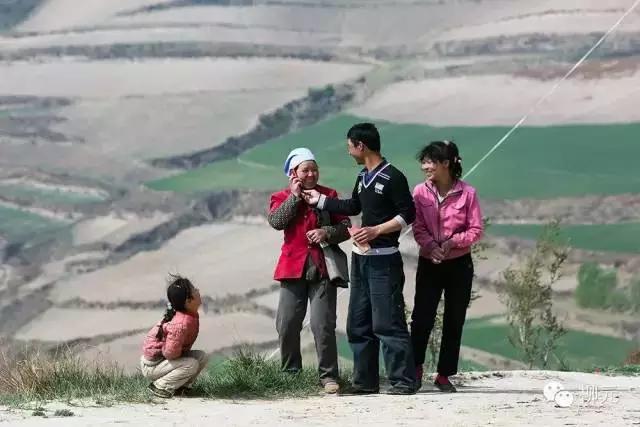 紫云烟有几种，紫云烟的种类（宁夏大武口的一段顺口溜）