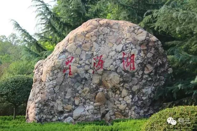 紫云烟有几种，紫云烟的种类（宁夏大武口的一段顺口溜）