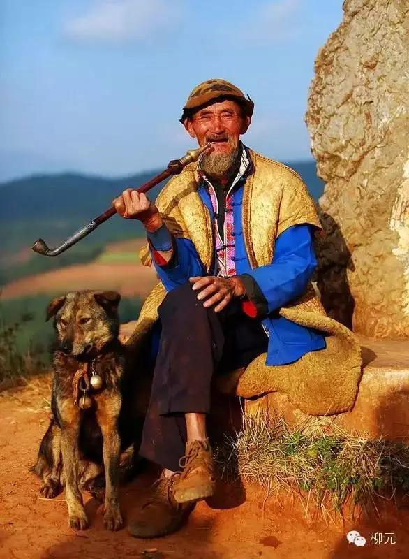 紫云烟有几种，紫云烟的种类（宁夏大武口的一段顺口溜）