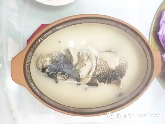 鲈鱼的功效和作用，鲈鱼的功效和作用及禁忌（但是您真的吃对了吗）