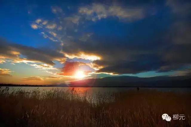 紫云烟有几种，紫云烟的种类（宁夏大武口的一段顺口溜）