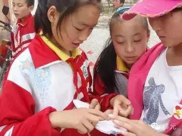 紫云烟有几种，紫云烟的种类（宁夏大武口的一段顺口溜）