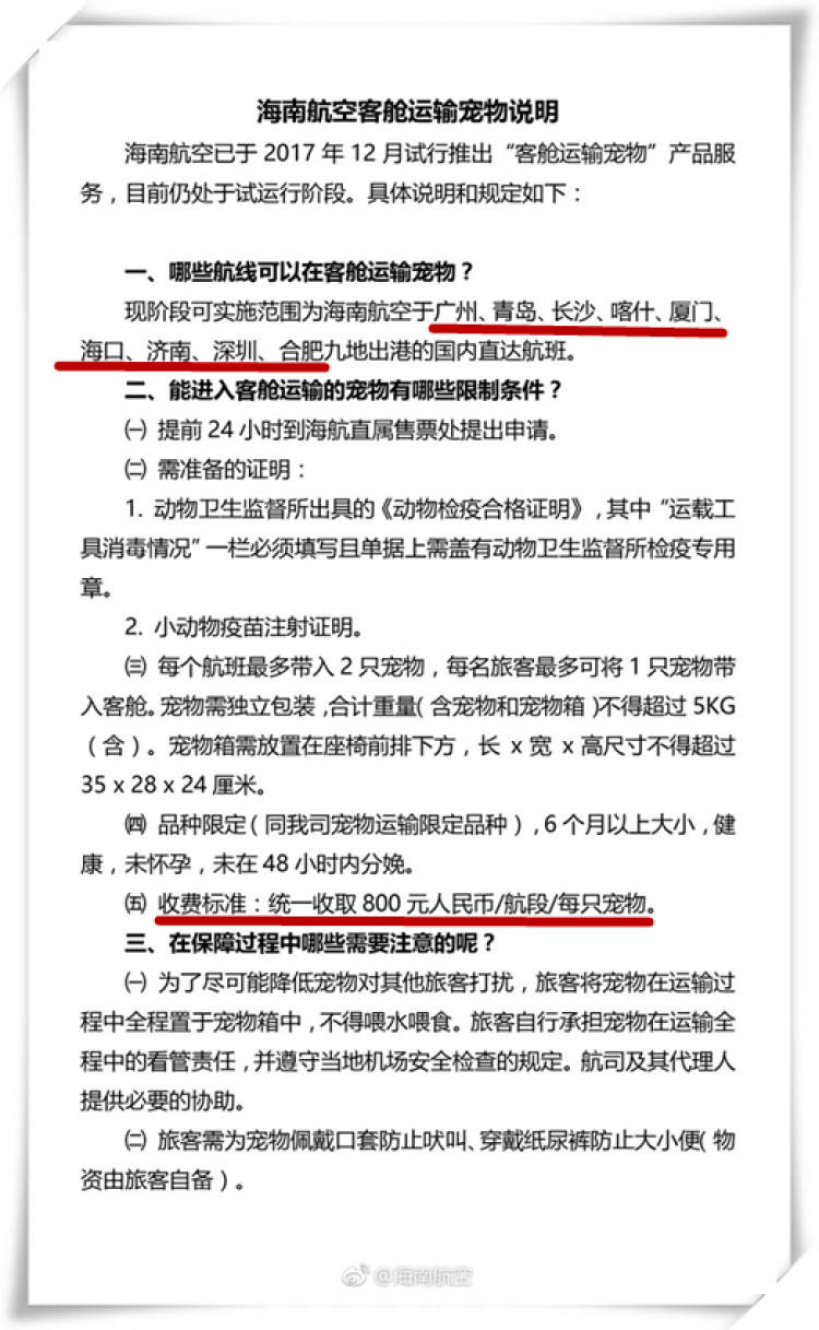 南航宠物托运电话多少（宠物托运攻略：如何安全便捷地带宠物出行）