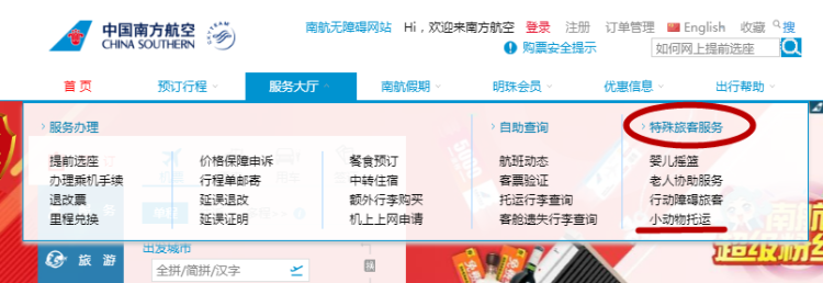 南航宠物托运电话多少（宠物托运攻略：如何安全便捷地带宠物出行）