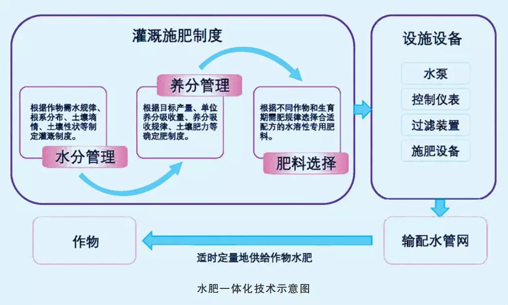 什么是水肥一体化（好技术｜到底什么是水肥一体化？怎么操作？又有哪些好处？）