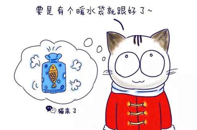 火车托运宠物，如何通过火车托运宠物（火车托运宠物到站多长时间能接）