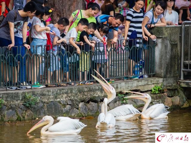 广州动物园海洋馆(广州动物园海洋馆为什么不开放)
