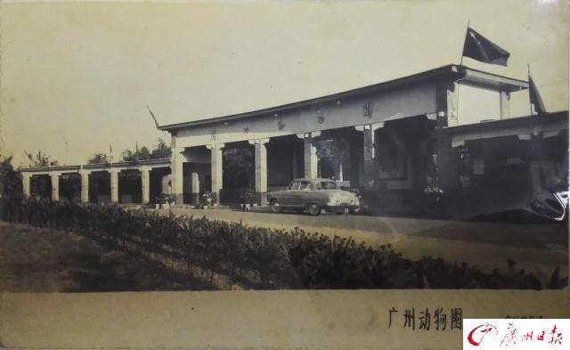 广州动物园海洋馆(广州动物园海洋馆为什么不开放)