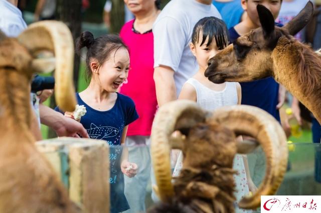 广州动物园海洋馆(广州动物园海洋馆为什么不开放)