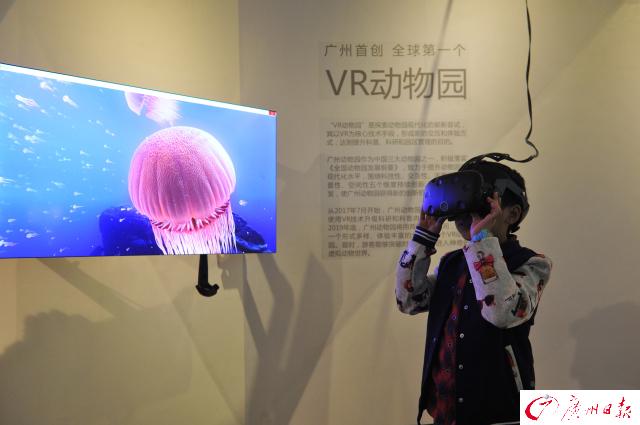 广州动物园海洋馆(广州动物园海洋馆为什么不开放)