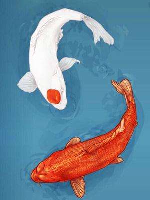 财运的图片头像,"招财转运"的微信头像你还没换吗-算卦-荣耀易学