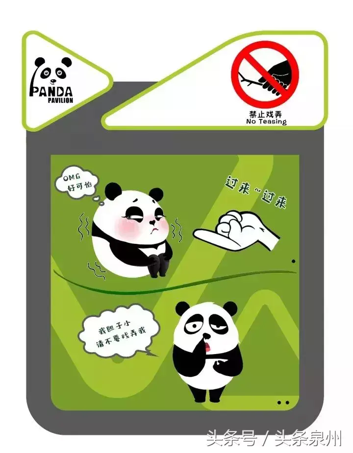 泉州动物园在哪里(泉州动物园)