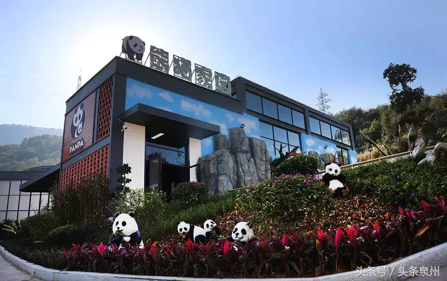 泉州动物园在哪里(泉州动物园)