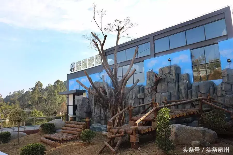 泉州动物园在哪里(泉州动物园)