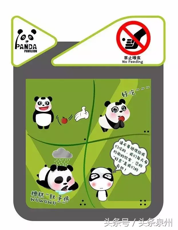 泉州动物园在哪里(泉州动物园)